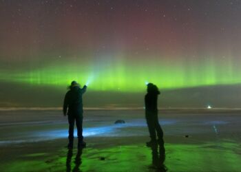 Foto: Arturas Pirazkov.