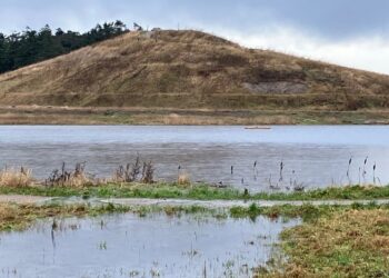 Foto (arkiv): Torben Elling.