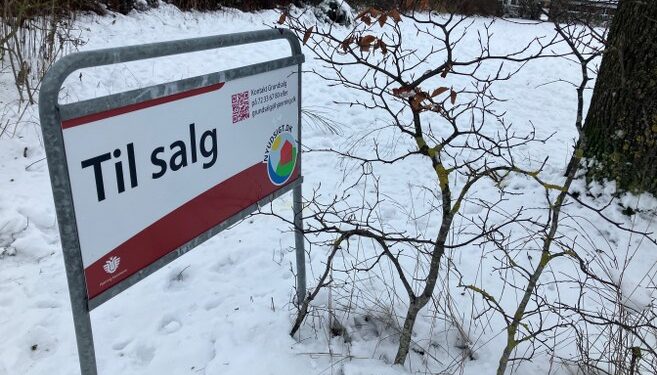 Grunden Heerfordtsvej 24 i Hjørring har i mange år henligget med græs, omgivet af grønne hække og høje træer.