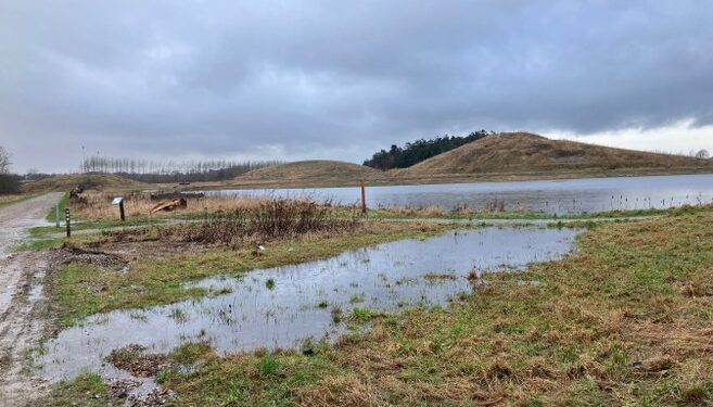 thirup park vand 1 657x493