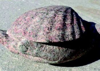 Den såkaldte Camino-skulptur. Foto: Byforum.