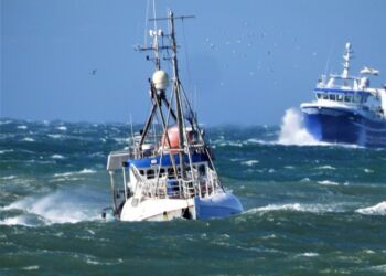 Fiskefartøjerne Maria Alberte og Pia Glanz nærmer sig i kuling Hirtshals Havn. Foto (arkiv): Preben Andersen.