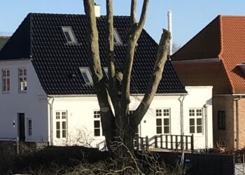 Foto: FBL - Hjørring.