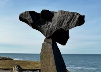 Her er Fowli, som mange i Hirtshals er towli med. Foto: Henriette Maj Pedersen.