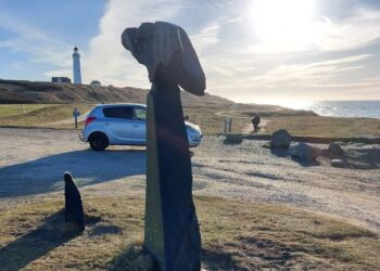 Fowli på Leret. Foto: Jørn Nielsen.