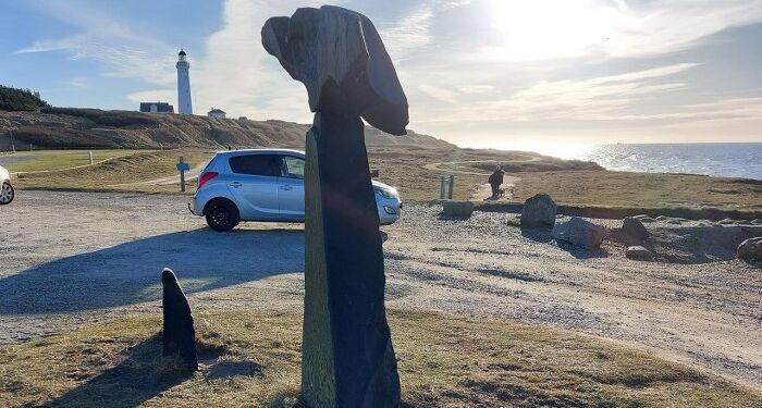 Fowli på Leret. Foto: Jørn Nielsen.