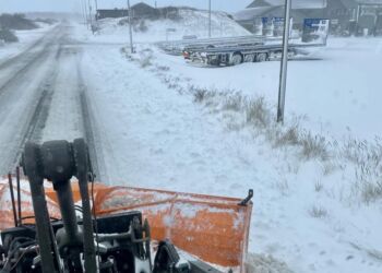Foto: Hirtshals Havn.