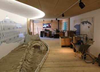 Hvalforskerhytten ved Nordsøen Oceanarium. Foto: Arkiv.