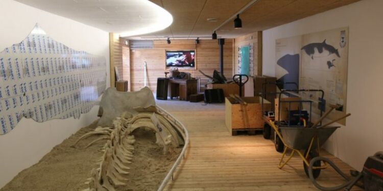 Hvalforskerhytten ved Nordsøen Oceanarium. Foto: Arkiv.