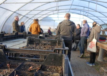 Horne Gartneri. Foto: Arkiv.