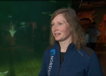 - Småplettet rokke er en af de arter, som vi er ansvarlige for at være en del af overvågningen på, og den er blevet noget mere almindelig de senere år, siger Kristina Ydesen. Foto: TV2 Nord.