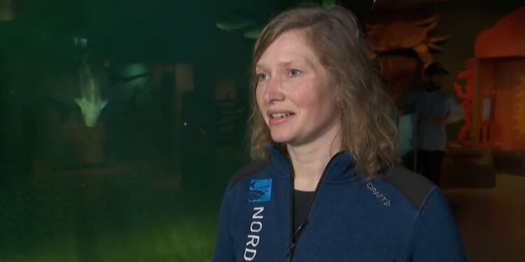 - Småplettet rokke er en af de arter, som vi er ansvarlige for at være en del af overvågningen på, og den er blevet noget mere almindelig de senere år, siger Kristina Ydesen. Foto: TV2 Nord.