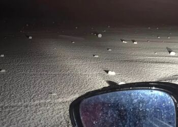 Som små snebolde ligger snerullerne på marken. Foto: Alex Kristensen / Privatfoto.