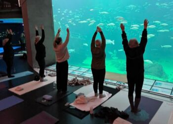 Yoga foran akvariet på Nordsøen Oceanarium. Foto (arkiv): Hanne Skipper.