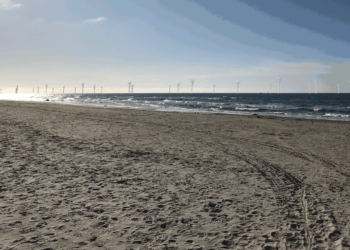 Møllerne set fra Husmoderstranden ved Hirtshals.