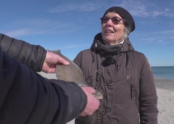Mette Hust, formand i Vikingeklubben Isbryderne i Skagen, er chokeret over, at klubbens vinterbadning har så voldsomme konsekvenser for økosystemet.
Foto: TV2 Nord.