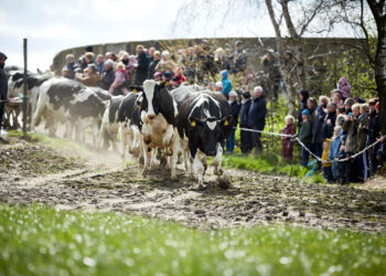 Foto: Søren Gammelmark.
