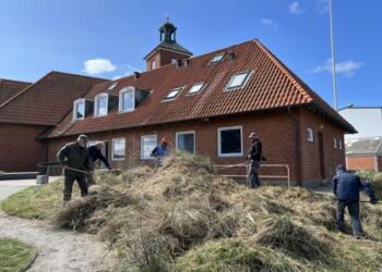 Byforums fortovsmatroser har forårsklargjort udearealerne ved Den Svenske Sømandskirke. Andre frivillige fra lokale foreninger har også været i gang indendørs. Foto: Bo Niebuhr.