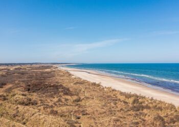 Klitter ved Tversted. Foto: René Stoklund.