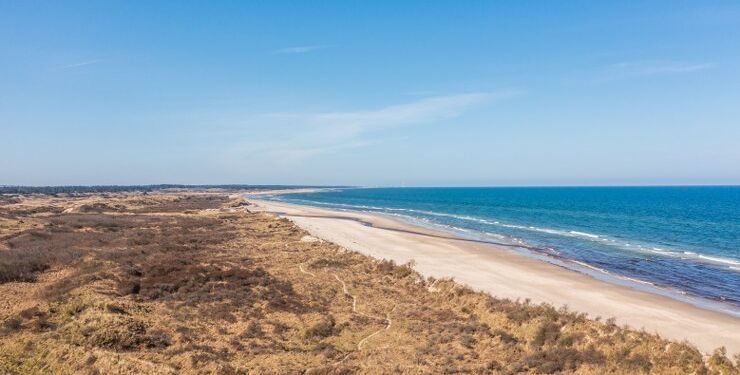 Klitter ved Tversted. Foto: René Stoklund.