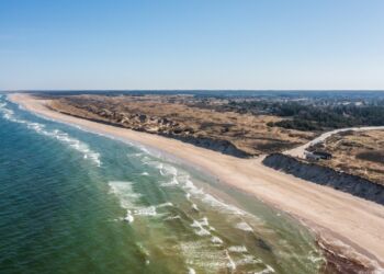 Nedkørslen til Tversted Strand. Foto: René Stoklund.