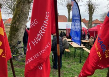 Fanerne blev luftet i Christiansgave. Foto: Palle W. Nielsen