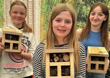 Eleverne viser deres insekthoteller frem.
Foto: Henriette Maj Pedersen.