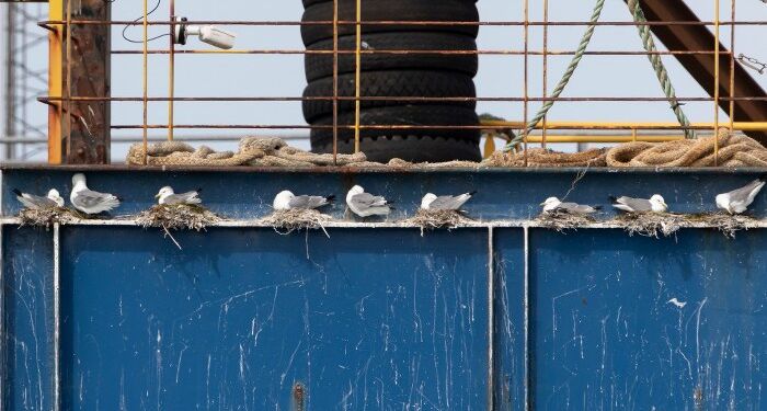 Riderne hos Hirtshals Yard den 29. maj 2023. Foto: Frank Abildgaard Sørensen.