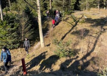 Foto: The Sky Is Blue.