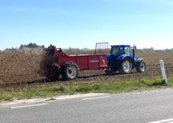 Foto (arkiv): Palle W. Nielsen