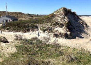 Projekt Kysthusene tænkes placeret ved de nuværende bygninger øverst til venstre i billedet. Foto: Palle W. Nielsen