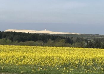 Hjørring Kommune byder på masser af flot natur som her ved Rubjerg Knude Fyr. 
Foto: Palle W. Nielsen.