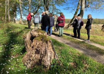 Naturpark Tolne er en perle. Foto (arkiv): Palle W. Nielsen.