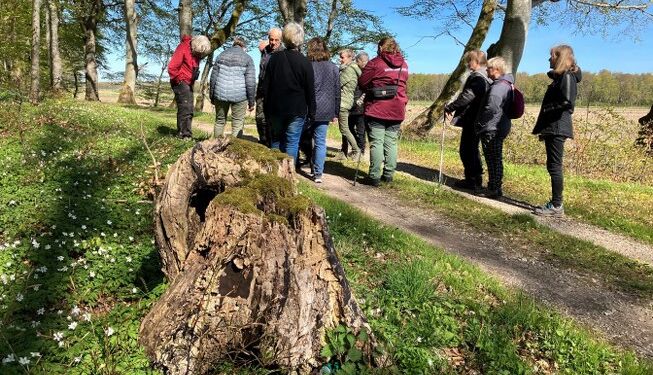 Naturpark Tolne er en perle. Foto (arkiv): Palle W. Nielsen.
