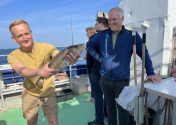 Emil Mariegaard fra Spar Nord hev den største torsk over rælingen på Albatros. Foto: Niels Skipper.