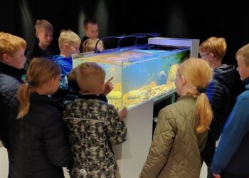 Lidt af Emmersbækken er rykket ind på Nordsøen Oceanarium.