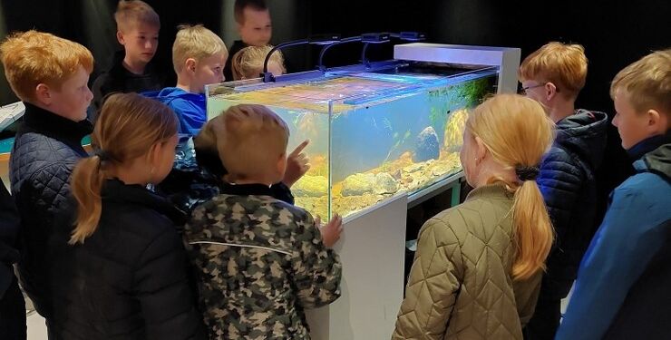Lidt af Emmersbækken er rykket ind på Nordsøen Oceanarium.