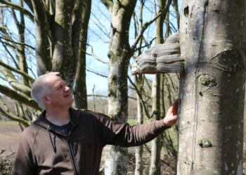 Formand for LandboNords Kreds 4, Mogens Højholt Hansen, der i øjeblikket har sat naturtiltag på pause.