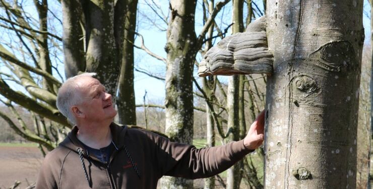 Formand for LandboNords Kreds 4, Mogens Højholt Hansen, der i øjeblikket har sat naturtiltag på pause.