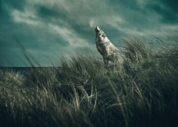 Foto: Emilia Therese.