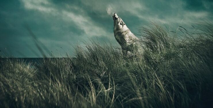 Foto: Emilia Therese.