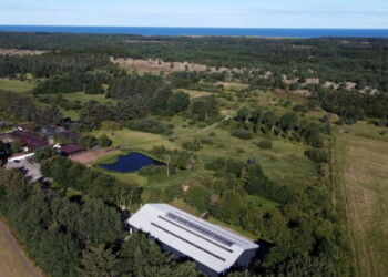 Ørnereservatet øst for Tversted. Foto: Privat.