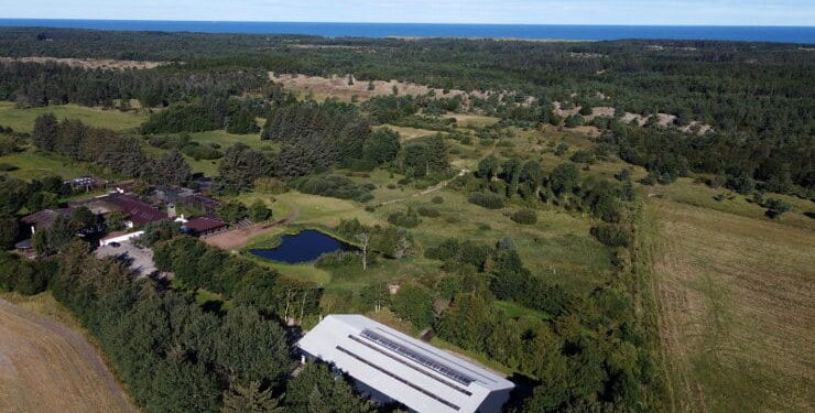 Ørnereservatet øst for Tversted. Foto: Privat.