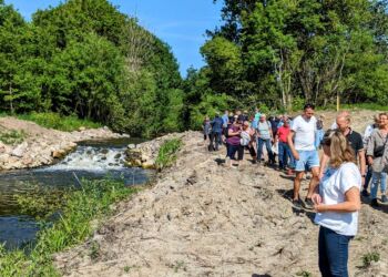 Omkring 200 deltog i den guidede tur ved Bindslev Gl. Elværk og fik fremvist åens nye forløb.