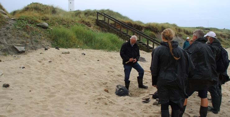 Her er det den navnkundige Henrik Arildskov, som var med gæster på stentur nedenfor Hirtshals Fyr. Foto: Arkiv.