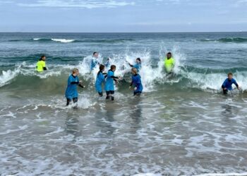 Vandhunde hos Surf og Natur på Husmoderstranden i Hirtshals. Foto: Arkiv.