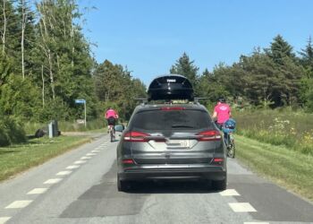 Pas godt på vores gæster på vejene. Foto: Palle W. Nielsen