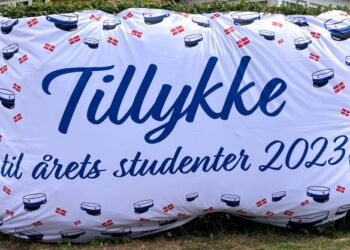 Dette billede fandt vi på et hjørne i Hjørring. Foto: Palle W. Nielsen