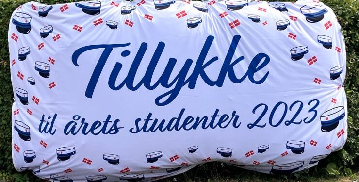 Dette billede fandt vi på et hjørne i Hjørring. Foto: Palle W. Nielsen