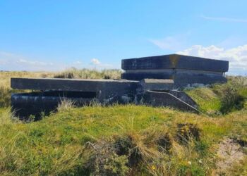 Tyske bunkers fra Anden Verdenskrig. Foto: Flemming Hammer.